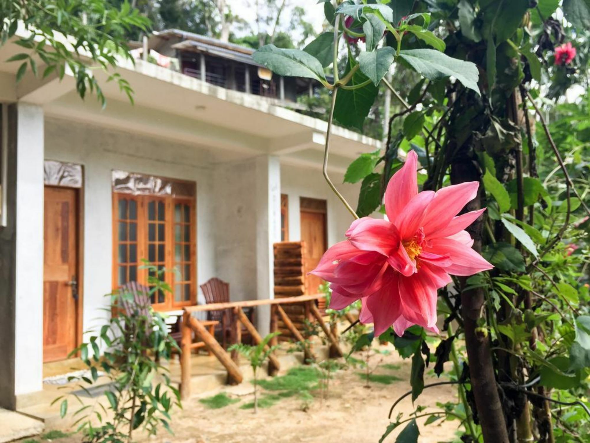 Dinaro Guest Hotel Ела Екстериор снимка